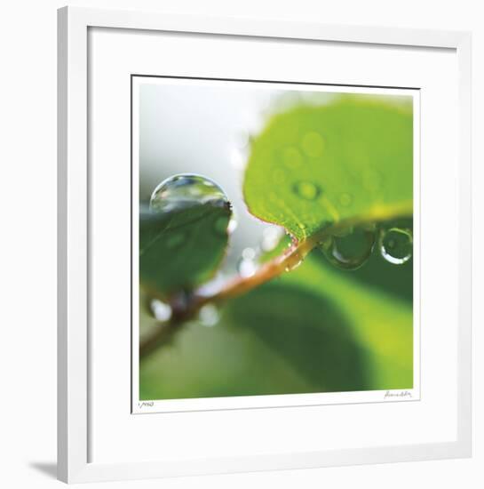 Dew Drops 1-Florence Delva-Framed Giclee Print