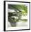 Dew Drops 3-Florence Delva-Framed Giclee Print