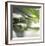 Dew Drops 3-Florence Delva-Framed Giclee Print