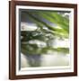 Dew Drops 3-Florence Delva-Framed Giclee Print