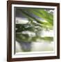 Dew Drops 3-Florence Delva-Framed Giclee Print