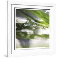 Dew Drops 3-Florence Delva-Framed Giclee Print