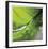 Dew Drops 4-Florence Delva-Framed Giclee Print