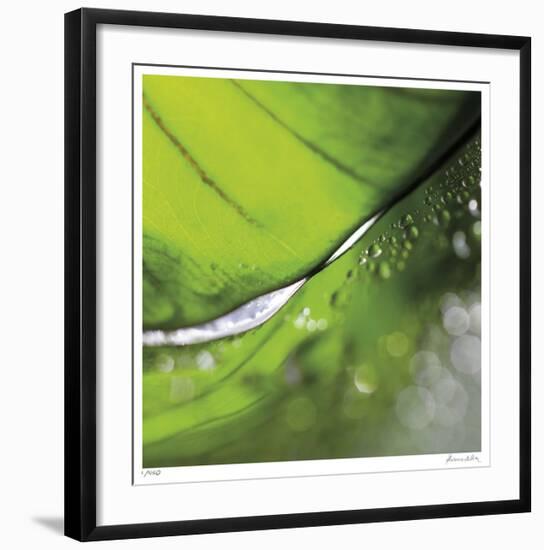 Dew Drops 4-Florence Delva-Framed Giclee Print