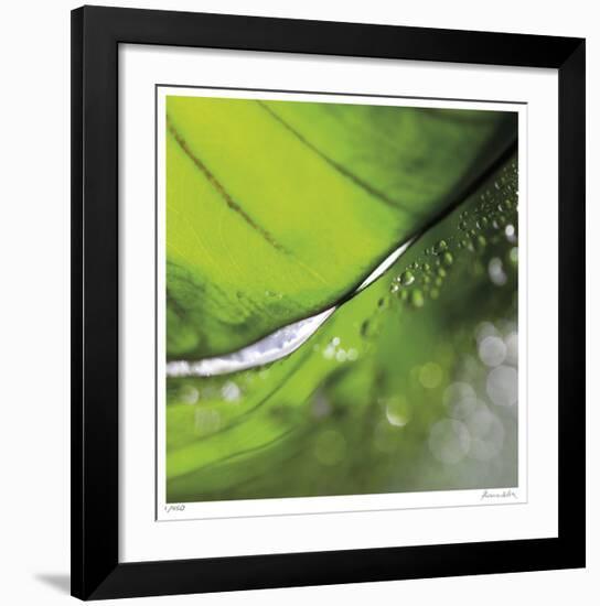 Dew Drops 4-Florence Delva-Framed Giclee Print