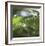 Dew Drops 5-Florence Delva-Framed Giclee Print