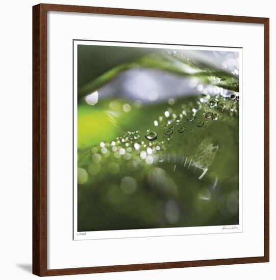 Dew Drops 5-Florence Delva-Framed Giclee Print