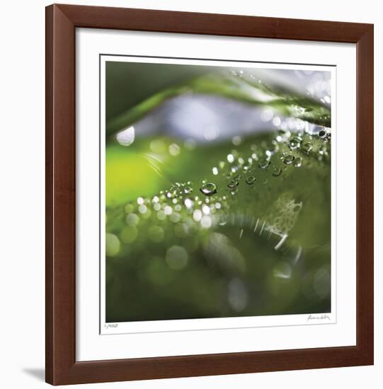 Dew Drops 5-Florence Delva-Framed Giclee Print