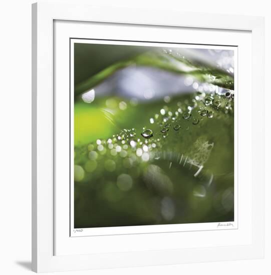 Dew Drops 5-Florence Delva-Framed Giclee Print