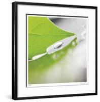 Dew Drops 6-Florence Delva-Framed Giclee Print