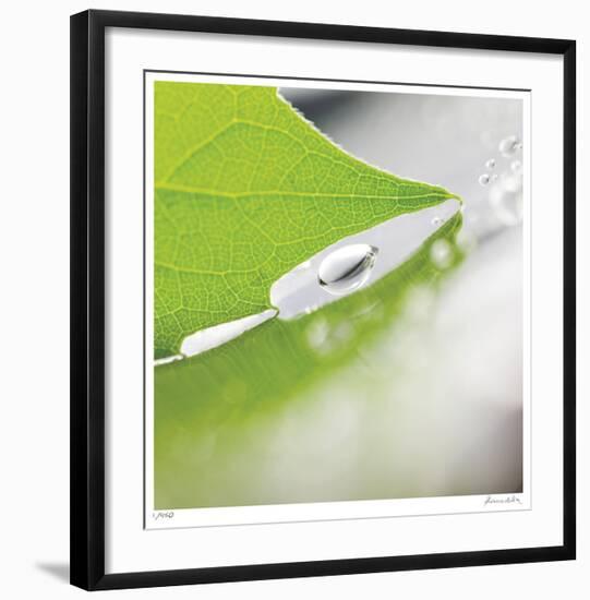 Dew Drops 6-Florence Delva-Framed Giclee Print