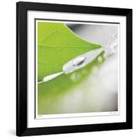 Dew Drops 6-Florence Delva-Framed Giclee Print