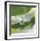 Dew Drops 7-Florence Delva-Framed Giclee Print