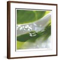 Dew Drops 7-Florence Delva-Framed Giclee Print