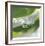 Dew Drops 7-Florence Delva-Framed Giclee Print