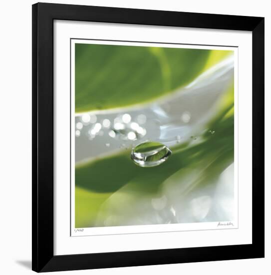 Dew Drops 7-Florence Delva-Framed Giclee Print