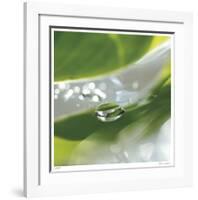 Dew Drops 7-Florence Delva-Framed Giclee Print