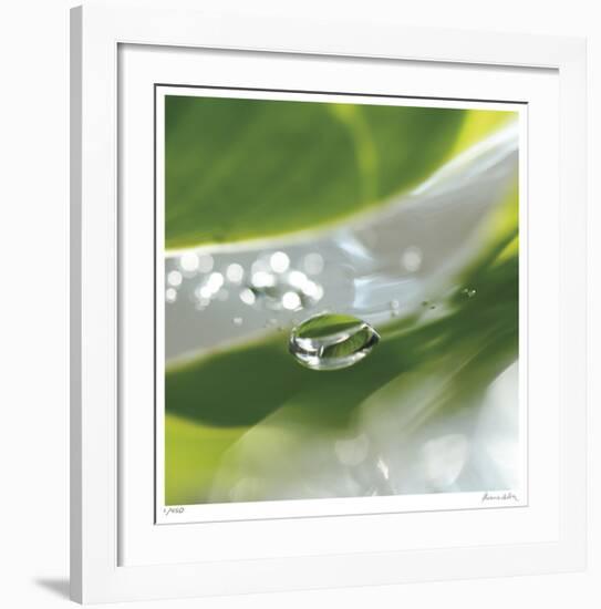 Dew Drops 7-Florence Delva-Framed Giclee Print
