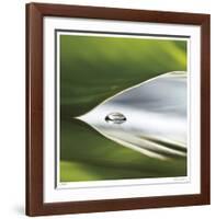 Dew Drops 8-Florence Delva-Framed Giclee Print