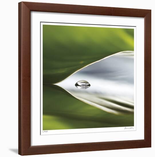 Dew Drops 8-Florence Delva-Framed Giclee Print