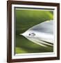 Dew Drops 8-Florence Delva-Framed Giclee Print