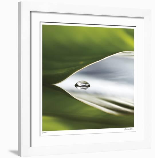 Dew Drops 8-Florence Delva-Framed Giclee Print