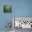 Dew Drops II-Nicole Katano-Photo displayed on a wall