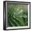 Dew Drops II-Nicole Katano-Framed Photo