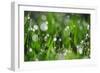 Dew Drops II-Leesa White-Framed Photographic Print