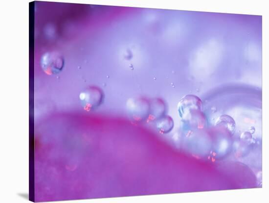 Dew Drops on Flower Petal Abstract-Nancy Rotenberg-Stretched Canvas