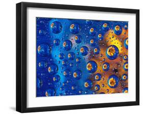 Dew Drops reflecting an Orange Profusion Zinnia with a blue backdrop, Sammamish Washington-Darrell Gulin-Framed Premium Photographic Print