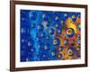 Dew Drops reflecting an Orange Profusion Zinnia with a blue backdrop, Sammamish Washington-Darrell Gulin-Framed Photographic Print