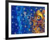 Dew Drops reflecting an Orange Profusion Zinnia with a blue backdrop, Sammamish Washington-Darrell Gulin-Framed Photographic Print