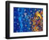 Dew Drops reflecting an Orange Profusion Zinnia with a blue backdrop, Sammamish Washington-Darrell Gulin-Framed Photographic Print