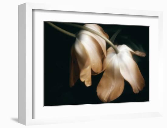 Dew Drops-David Winston-Framed Giclee Print