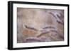 Dew Fox Tail Grass-Cora Niele-Framed Photographic Print