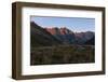 Dew in Blades of Grass in the Lazinser Valley in the Texelgruppe-Rolf Roeckl-Framed Photographic Print