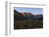 Dew in Blades of Grass in the Lazinser Valley in the Texelgruppe-Rolf Roeckl-Framed Photographic Print