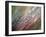 Dew-Ursula Abresch-Framed Photographic Print