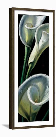 Dewdrop Callas-null-Framed Premium Giclee Print