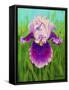 Dewdrop Iris-Tanja Ware-Framed Stretched Canvas