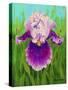 Dewdrop Iris-Tanja Ware-Stretched Canvas