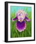 Dewdrop Iris-Tanja Ware-Framed Giclee Print