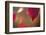 Dewdrop on red leaf on a colorful background with bokeh-Paivi Vikstrom-Framed Photographic Print