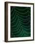 Dewdrop on Spider Web, Louisville, Kentucky, USA-Adam Jones-Framed Photographic Print