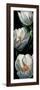 Dewdrop Tulips-null-Framed Premium Giclee Print