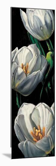 Dewdrop Tulips-null-Mounted Premium Giclee Print