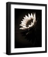 Dewdrops-X^ Luo-Framed Art Print