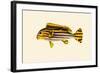 Deweeboraloowah-John Whitchurch Bennett-Framed Art Print