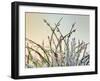 Dewy Grass-Cora Niele-Framed Photographic Print